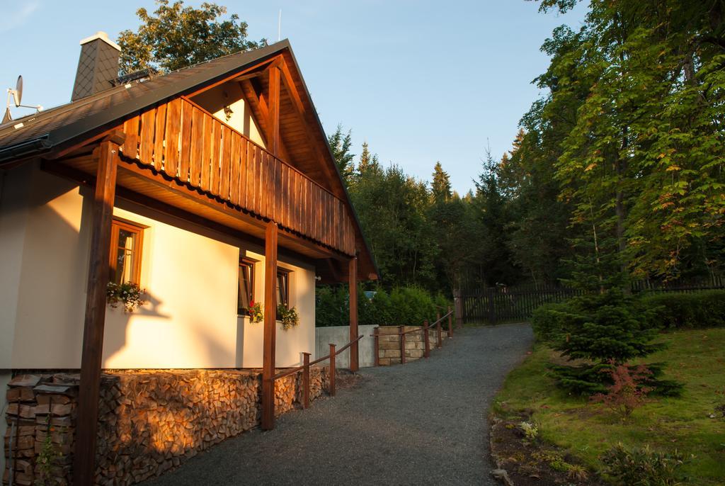 Haus Waldfrieden Leilighet Altenberg Eksteriør bilde