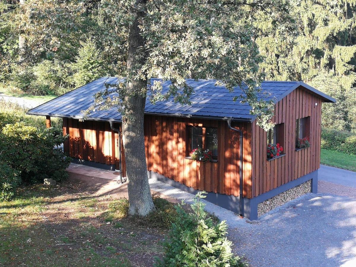 Haus Waldfrieden Leilighet Altenberg Eksteriør bilde