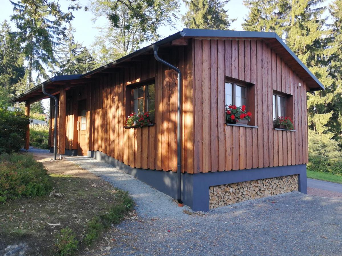 Haus Waldfrieden Leilighet Altenberg Eksteriør bilde