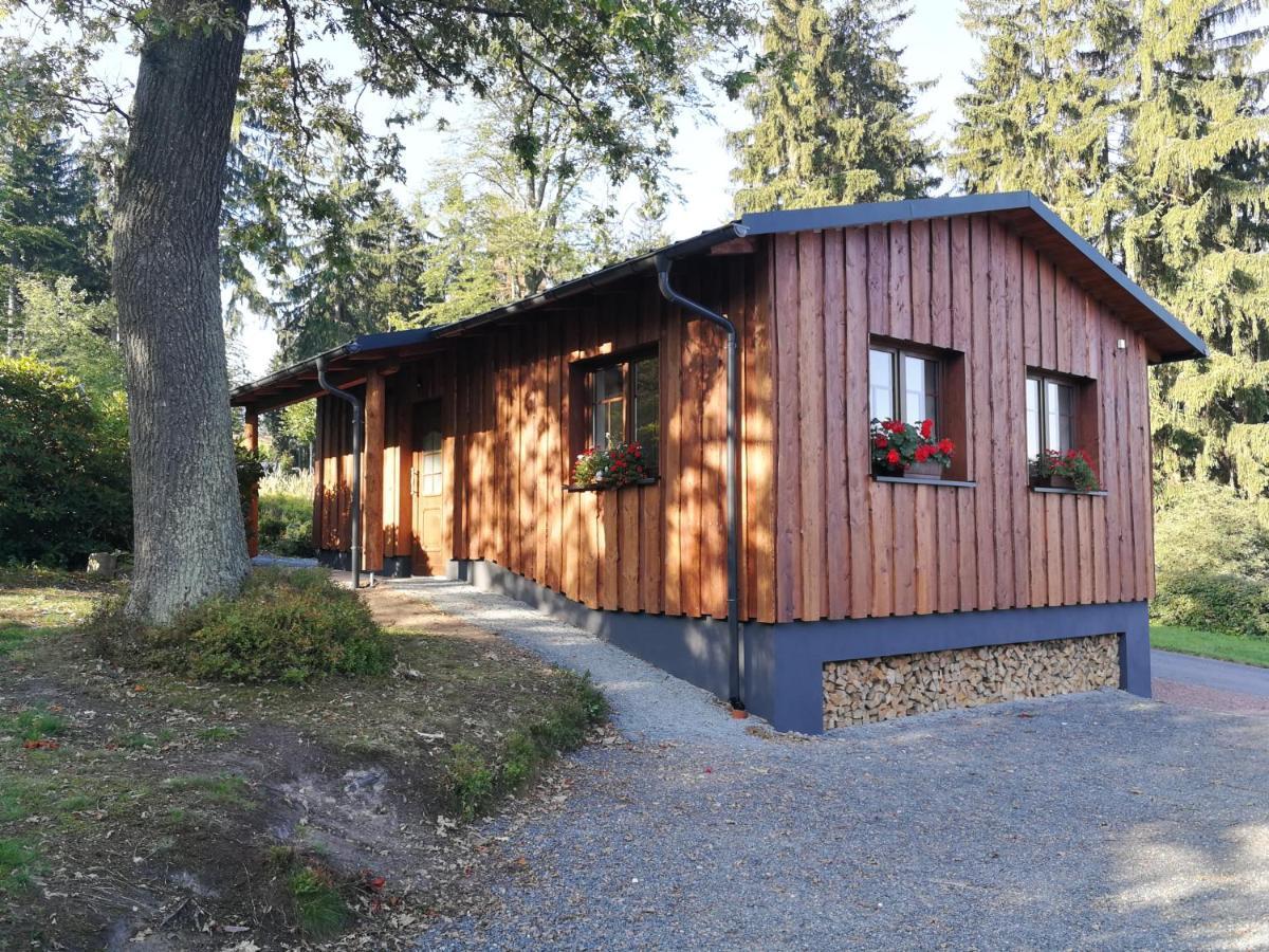 Haus Waldfrieden Leilighet Altenberg Eksteriør bilde